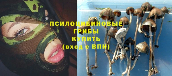 прущая мука Магадан