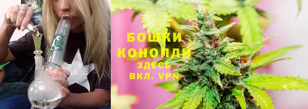 молекула духа Вязьма